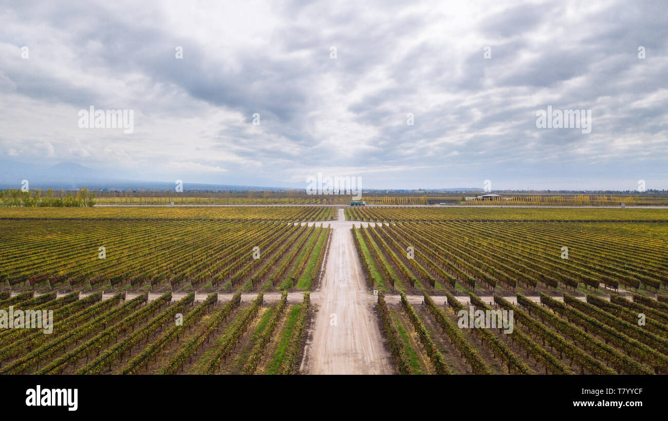 Drone Vue aérienne de Bodega Septima, Agrelo, Lujan de Cuyo, Mendoza, Argentine Banque D'Images
