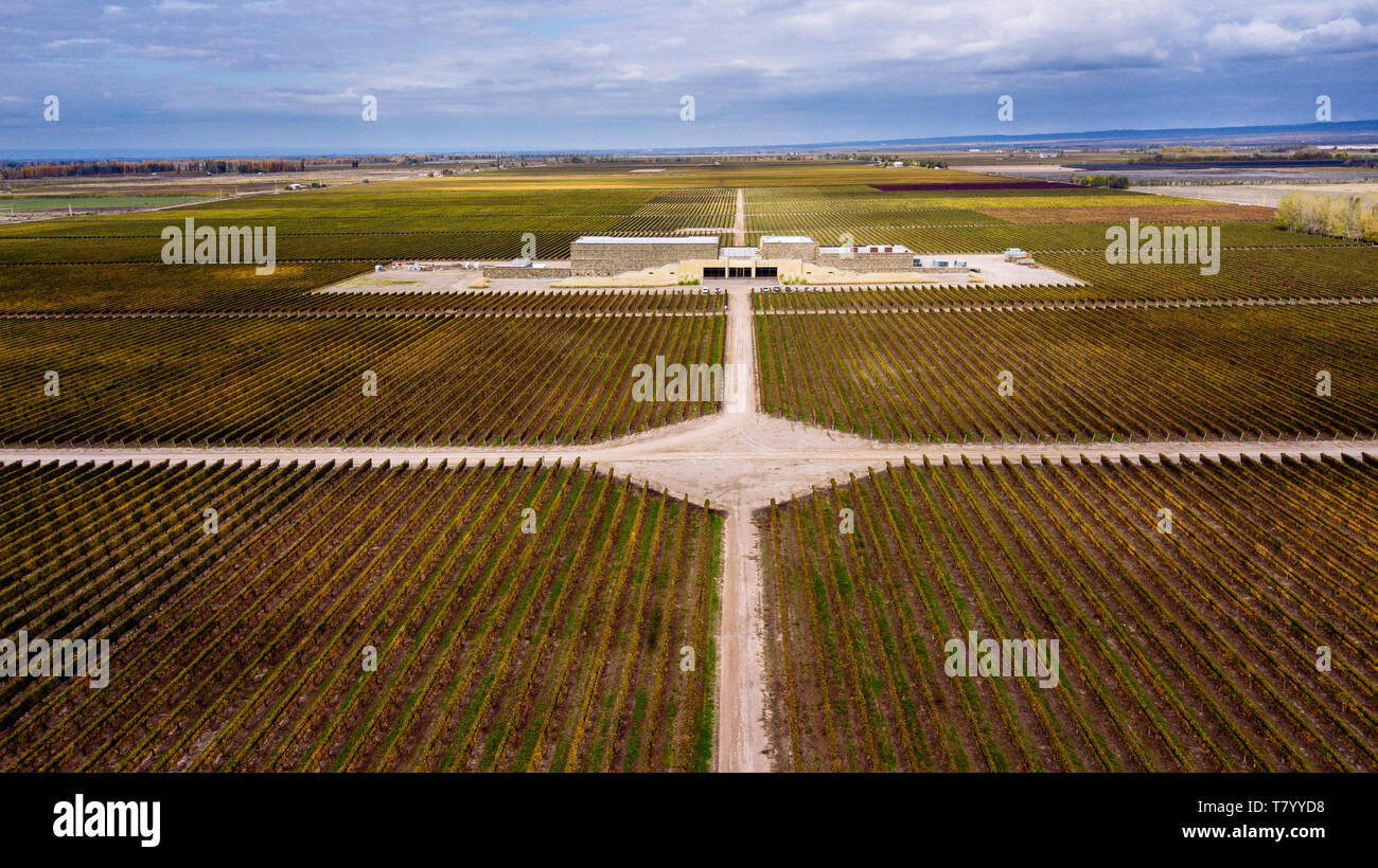 Drone Vue aérienne de l'édifice avant de Bodega Septima Winery, Agrelo, Lujan de Cuyo, Mendoza, Argentine Banque D'Images