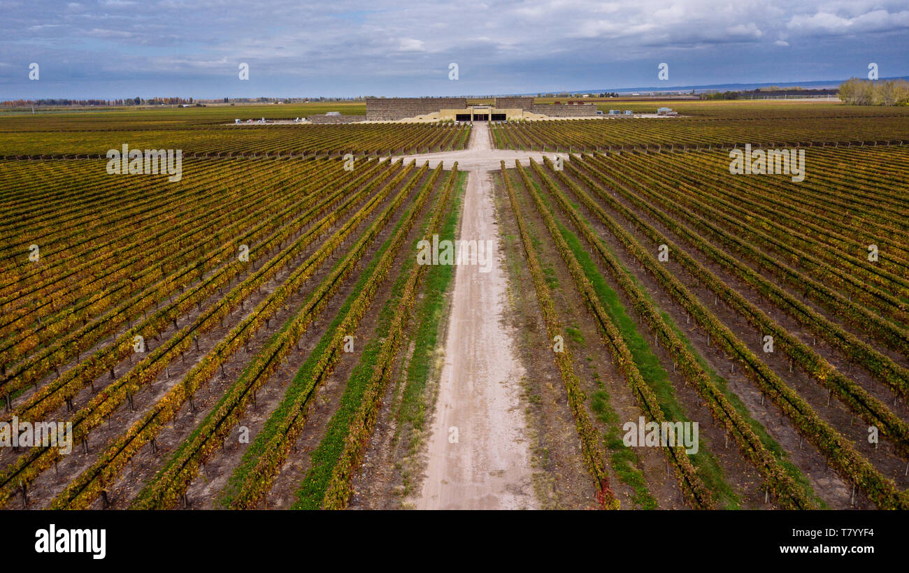 Drone Vue aérienne de l'édifice avant de Bodega Septima Winery, Agrelo, Lujan de Cuyo, Mendoza, Argentine Banque D'Images