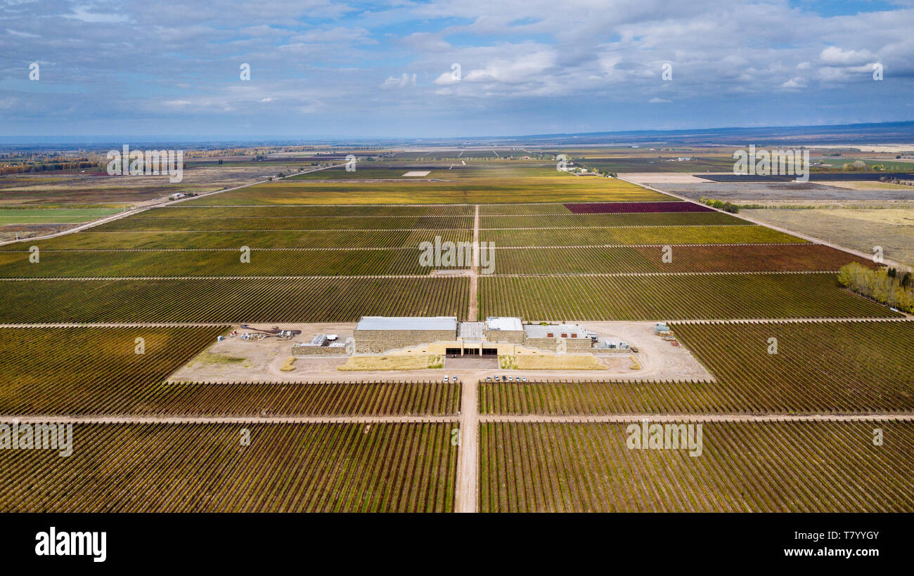 Drone Vue aérienne de l'édifice avant de Bodega Septima Winery, Agrelo, Lujan de Cuyo, Mendoza, Argentine Banque D'Images