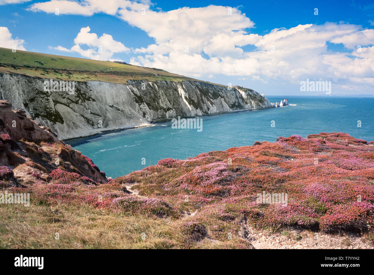Les aiguilles, une rangée de trois piles de craie qui prends environ 30m de la mer au large de la côte ouest de l'île de Wight, Royaume-Uni Banque D'Images