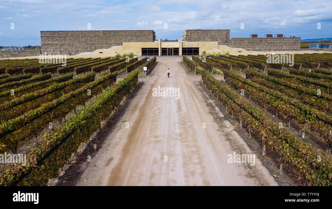 Drone Vue aérienne de l'édifice avant de Bodega Septima avec une femme marche à travers la route principale, Agrelo, Lujan de Cuyo, Mendoza, Argentine Banque D'Images