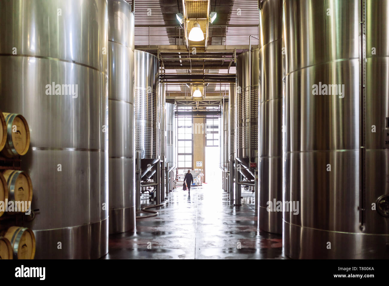 Cuves industrielles dans la région de Bodega Septima Winery, Agrelo, Lujan de Cuyo, Mendoza, Argentine Banque D'Images