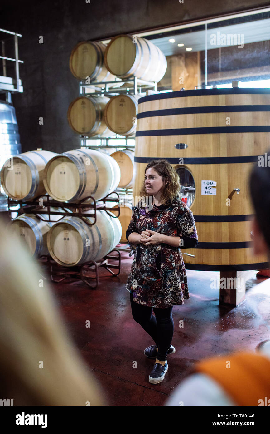 Femme dans le guide des vins en fûts prix Bodega Septima, Agrelo, Lujan de Cuyo, Mendoza, Argentine Banque D'Images