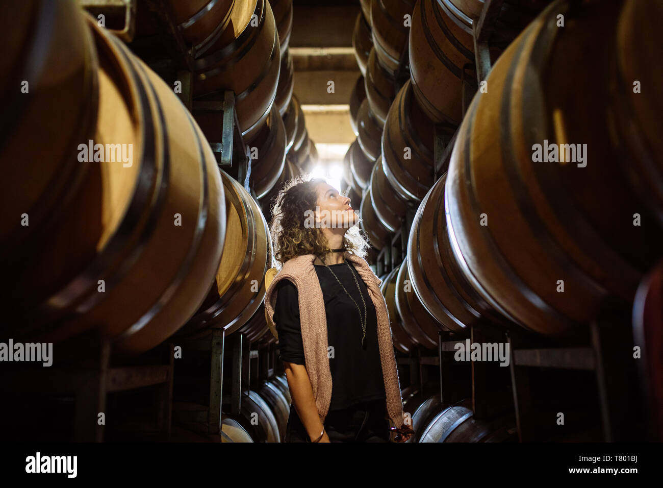 Femme de race blanche dans un milieu de barriques rangées dans Bodega Septima, Agrelo, Lujan de Cuyo, Mendoza, Argentine Banque D'Images