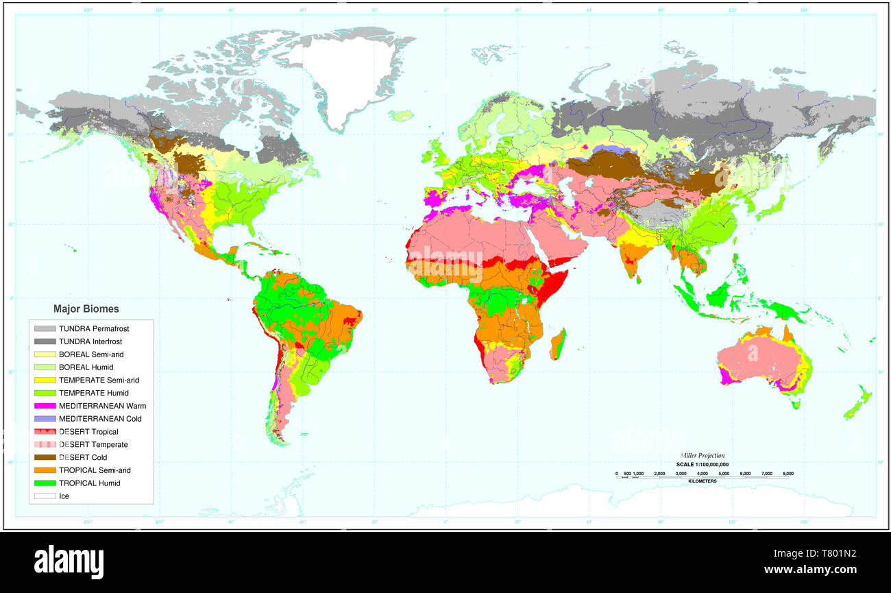 Principaux biomes de la terre, la carte Banque D'Images