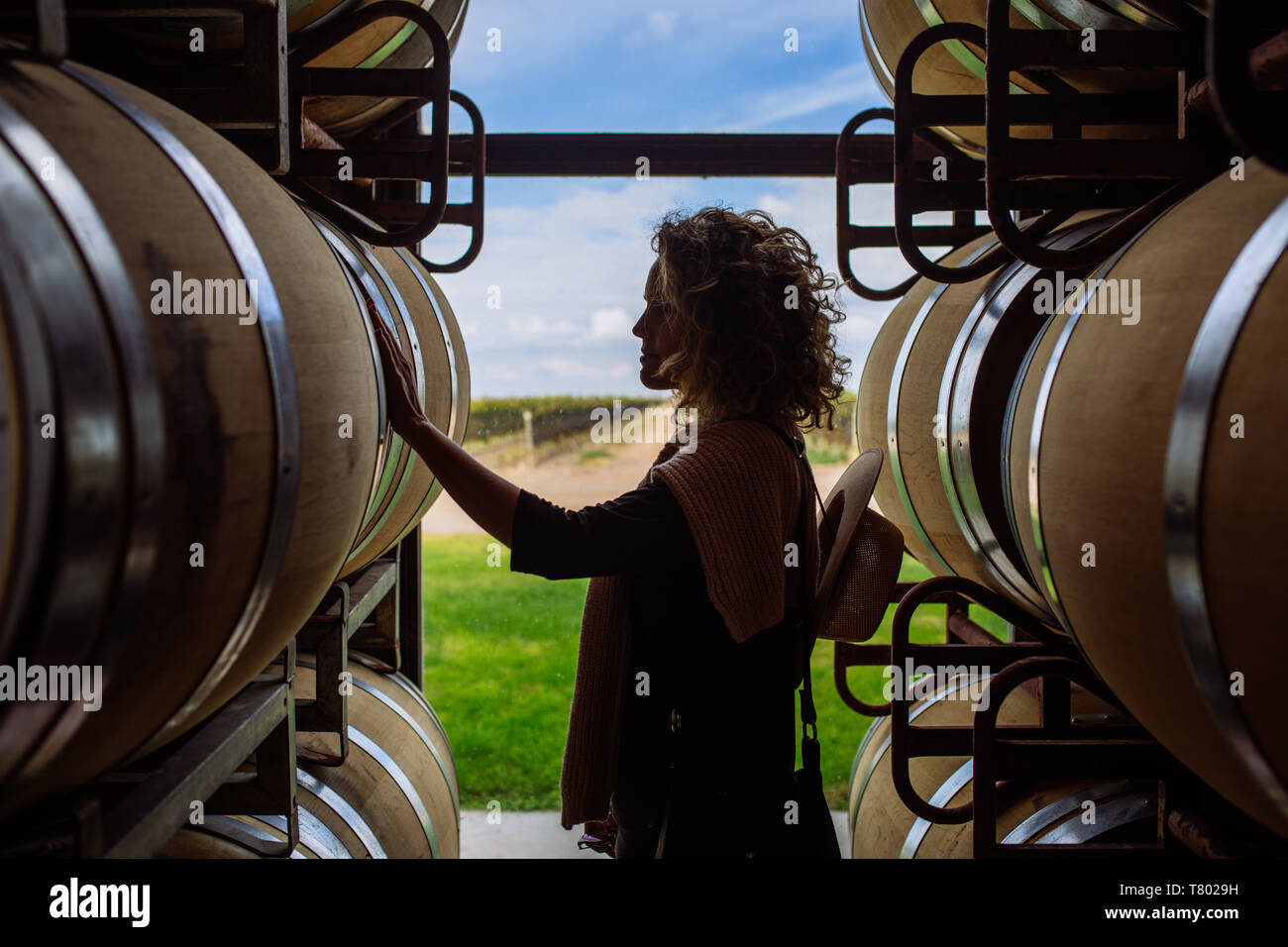 Caucasian woman profil en tonneau de chêne touche rétroéclairage dans Bodega Septima, Agrelo, Lujan de Cuyo, Mendoza, Argentine Banque D'Images
