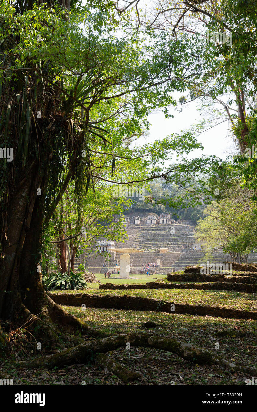 Mexique Bonampak - Ancient Maya site archéologique, vue en direction de la Grande Place, Chiapas, Yucatan Mexique Amérique Latine Banque D'Images