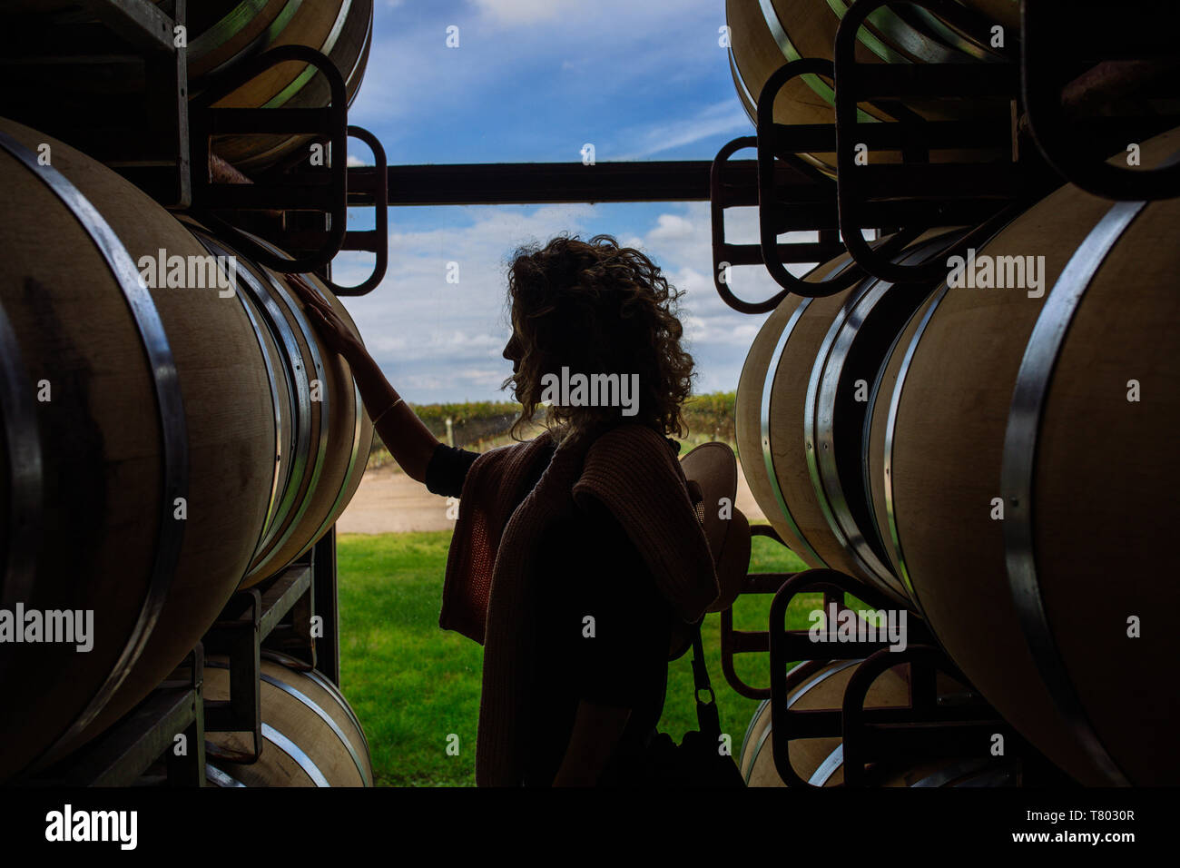Caucasian woman profil en tonneau de chêne touche rétroéclairage dans Bodega Septima, Agrelo, Lujan de Cuyo, Mendoza, Argentine Banque D'Images