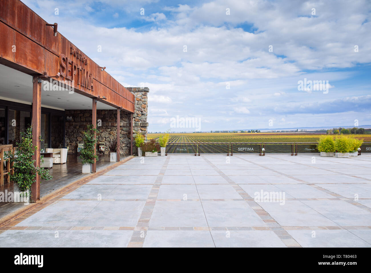 Restaurant Bodega Septima Maria terrasse, Agrelo, Lujan de Cuyo, Mendoza, Argentine Banque D'Images