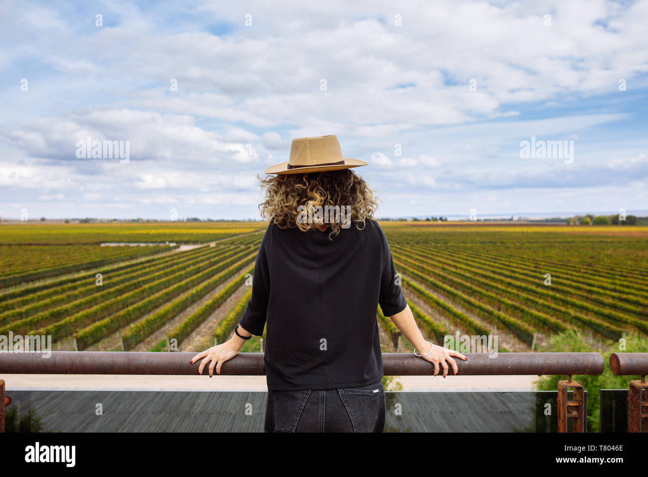 Woman face à l' arrière à la recherche à les vignes depuis la terrasse de Bodega Septima, Agrelo, Lujan de Cuyo, Mendoza, Argentine Banque D'Images