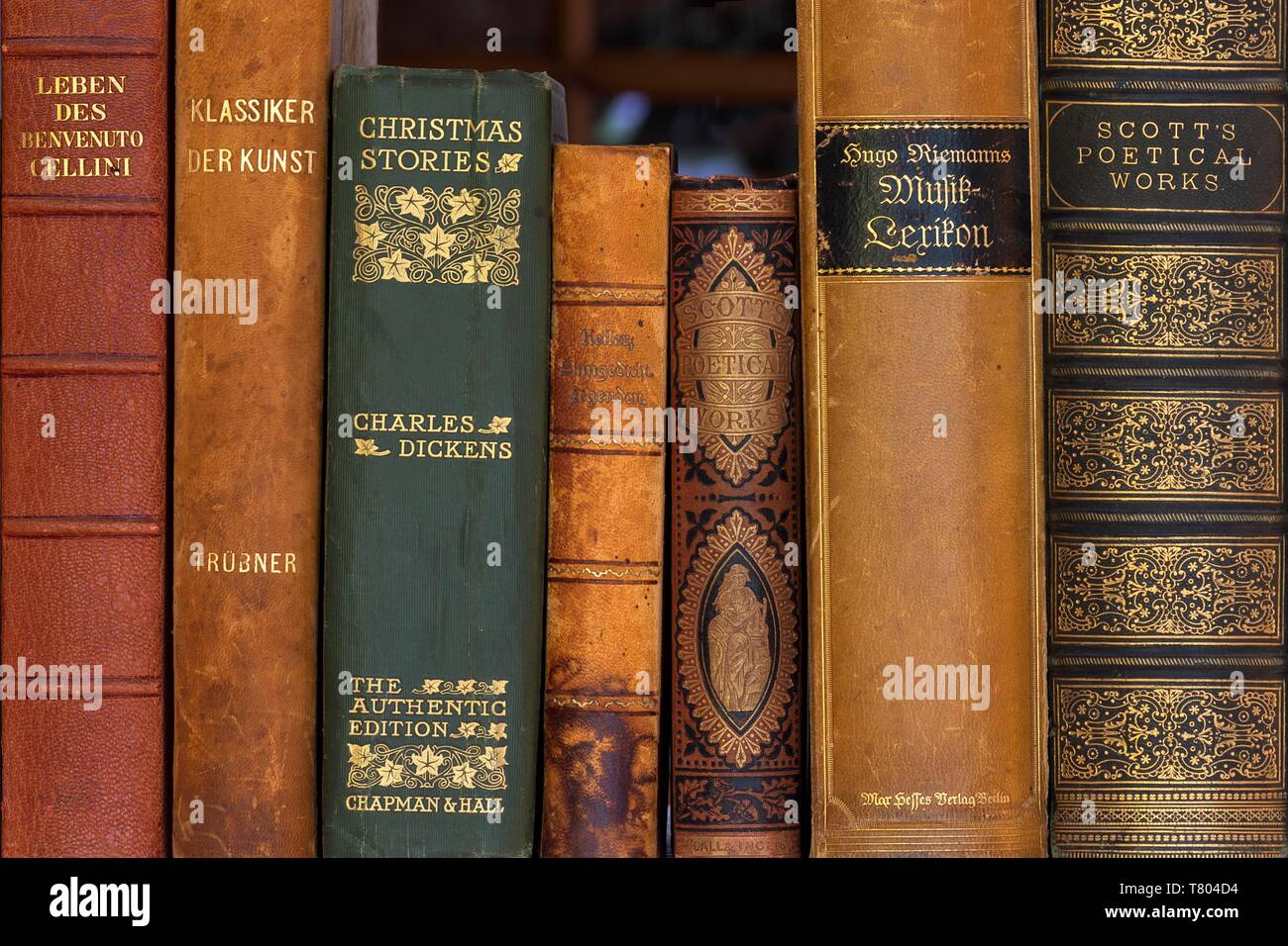 Dos de vieux livres reliés en cuir, classiques, Allemagne Banque D'Images