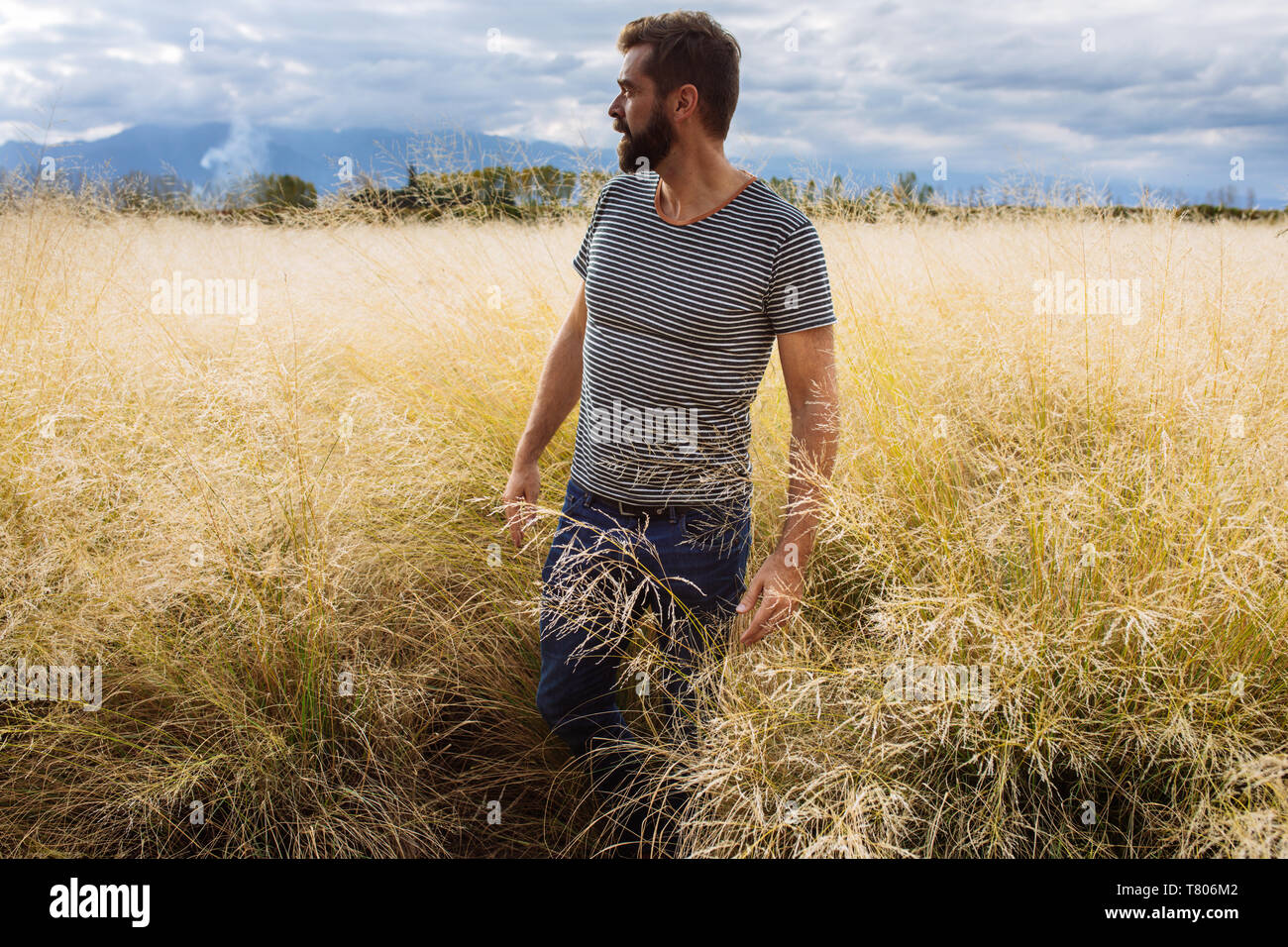 L'homme dans sa fin des années trente la mi-mi quarantaine, posant dans un champ d'herbe jaune dans Bodega Septima Winery à Mendoza, Argentine Banque D'Images