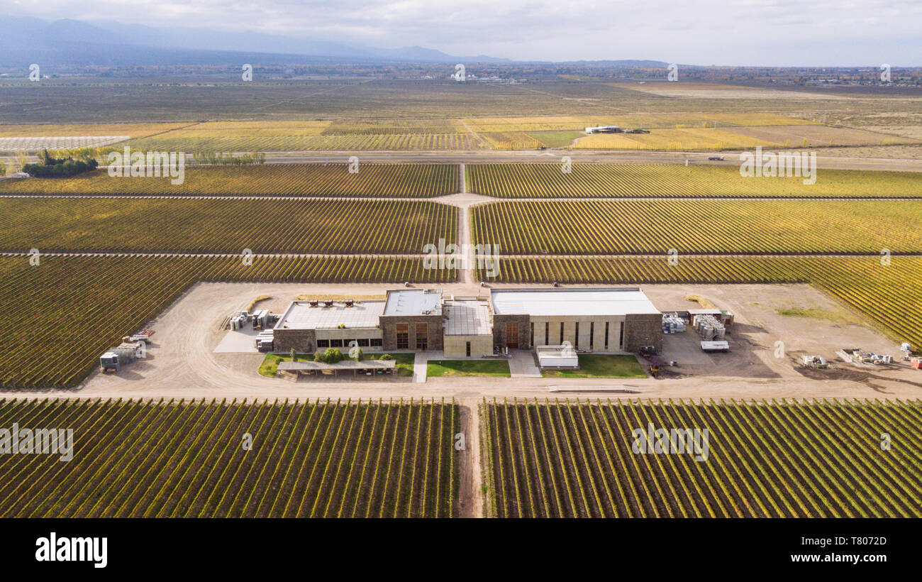 Drone Vue aérienne de l'arrière de Bodega Septima et ses vignobles, Agrelo, Lujan de Cuyo, Mendoza, Argentine Banque D'Images
