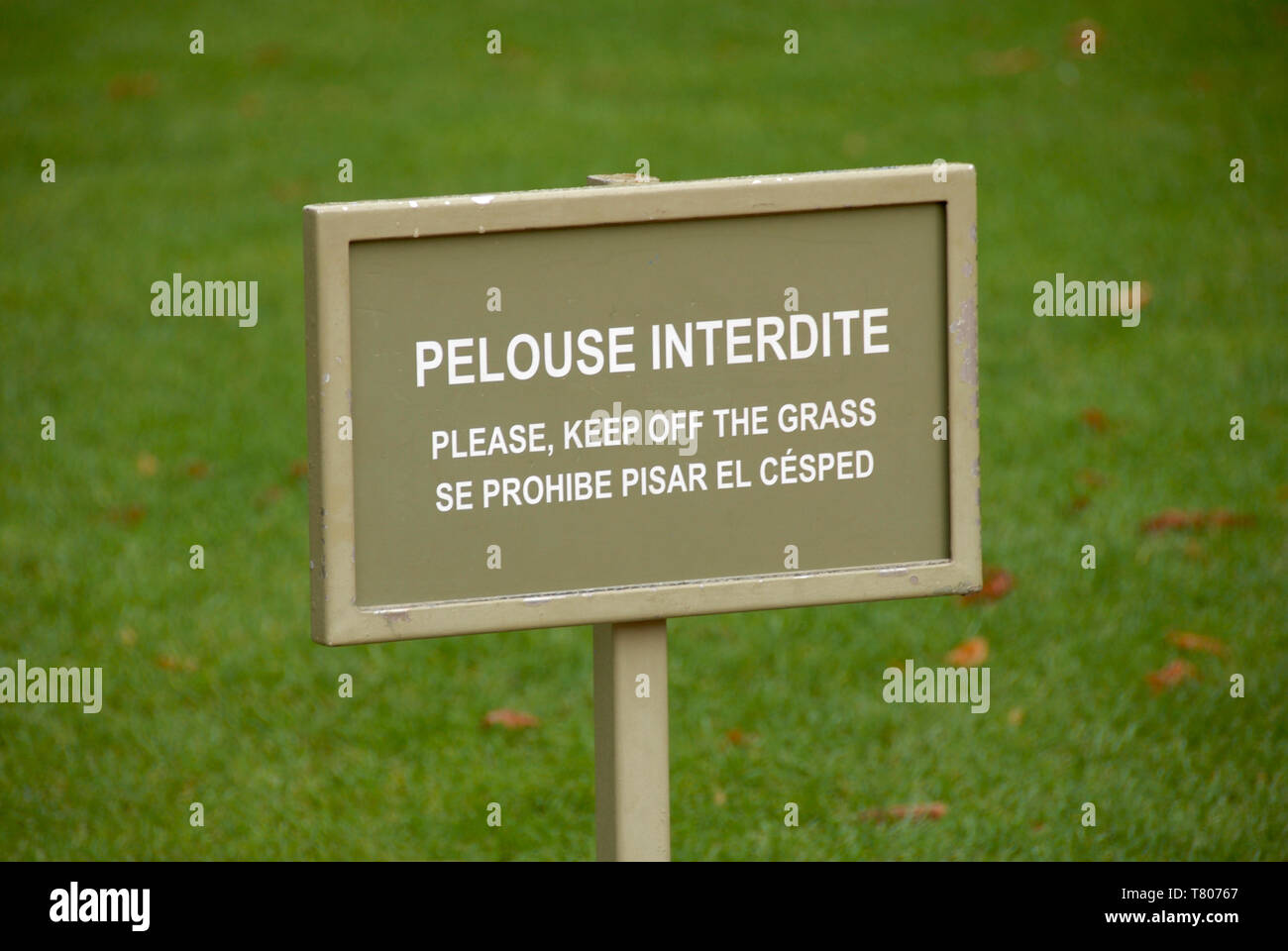 'Ne pas marcher sur la pelouse (inscription en trois langues, Paris, France Banque D'Images