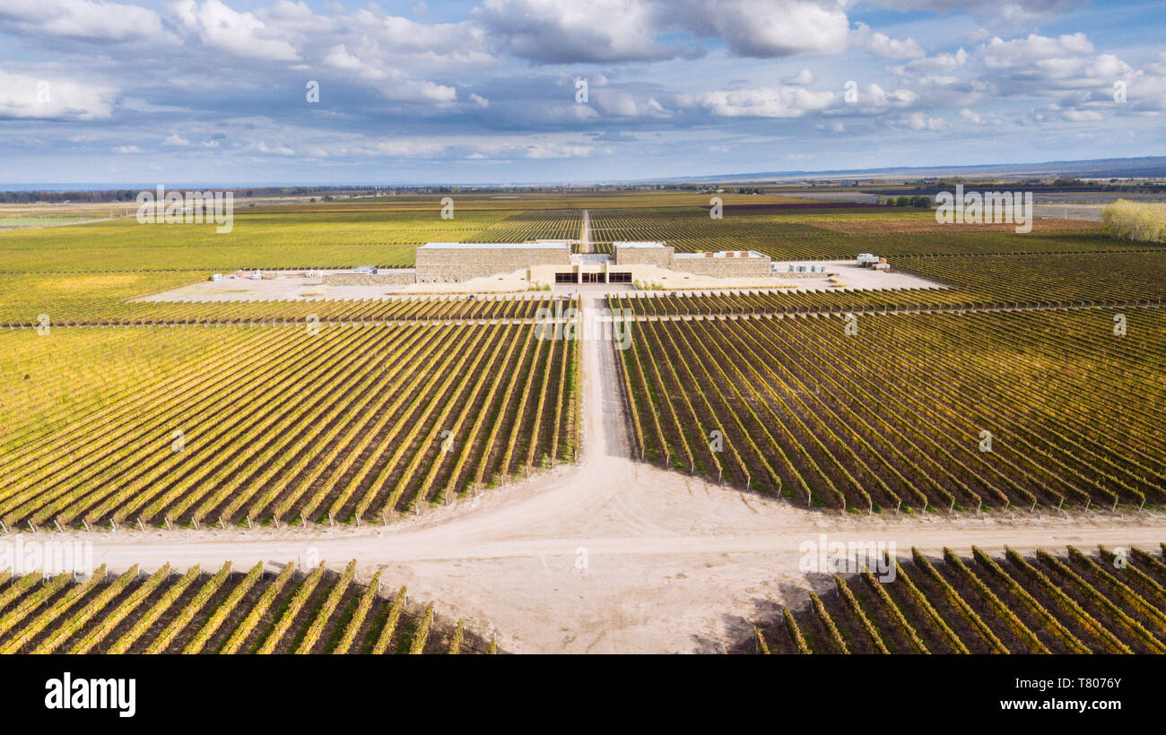 Vue aérienne de drone de face de Bodega Septima, Agrelo, Lujan de Cuyo, Mendoza, Argentine Banque D'Images
