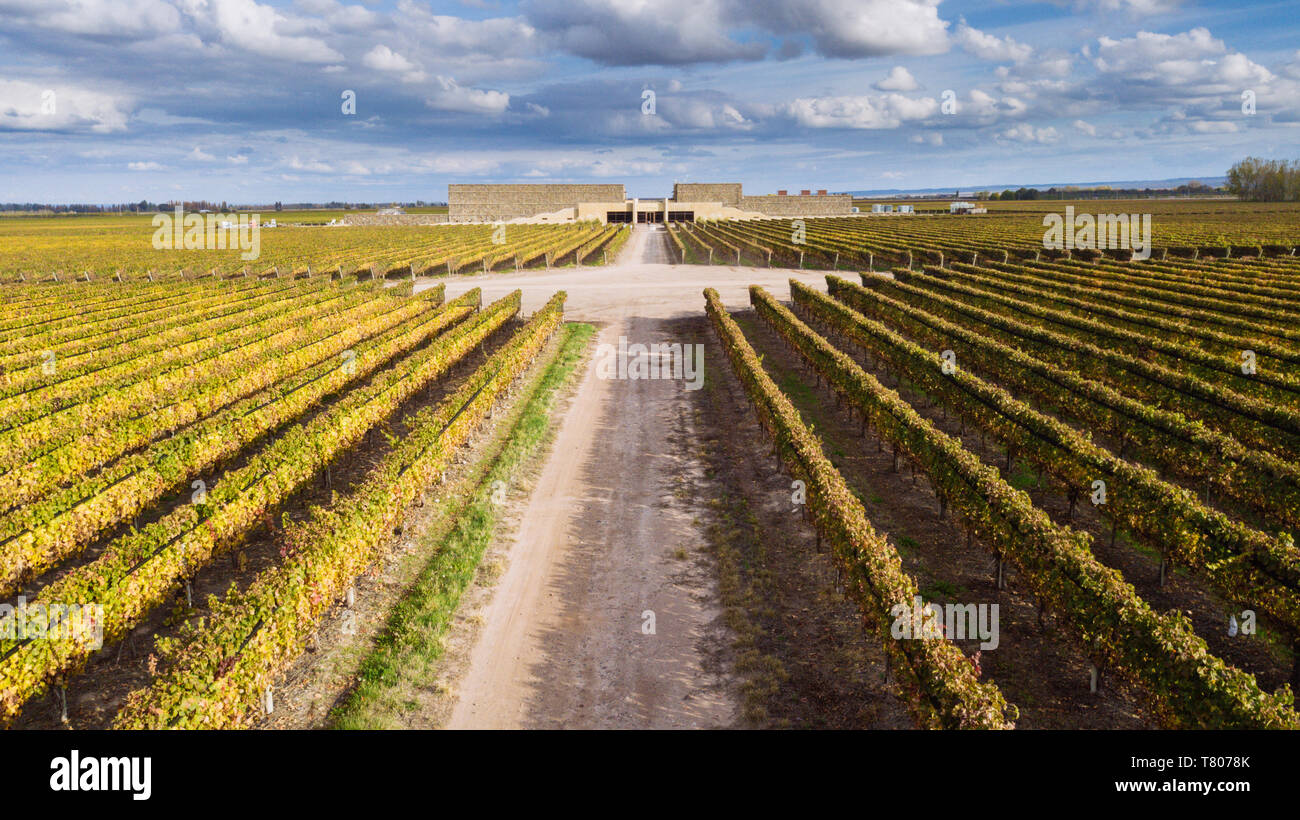 Vue aérienne de basse Bodega Septima, Agrelo, Lujan de Cuyo, Mendoza, Argentine Banque D'Images