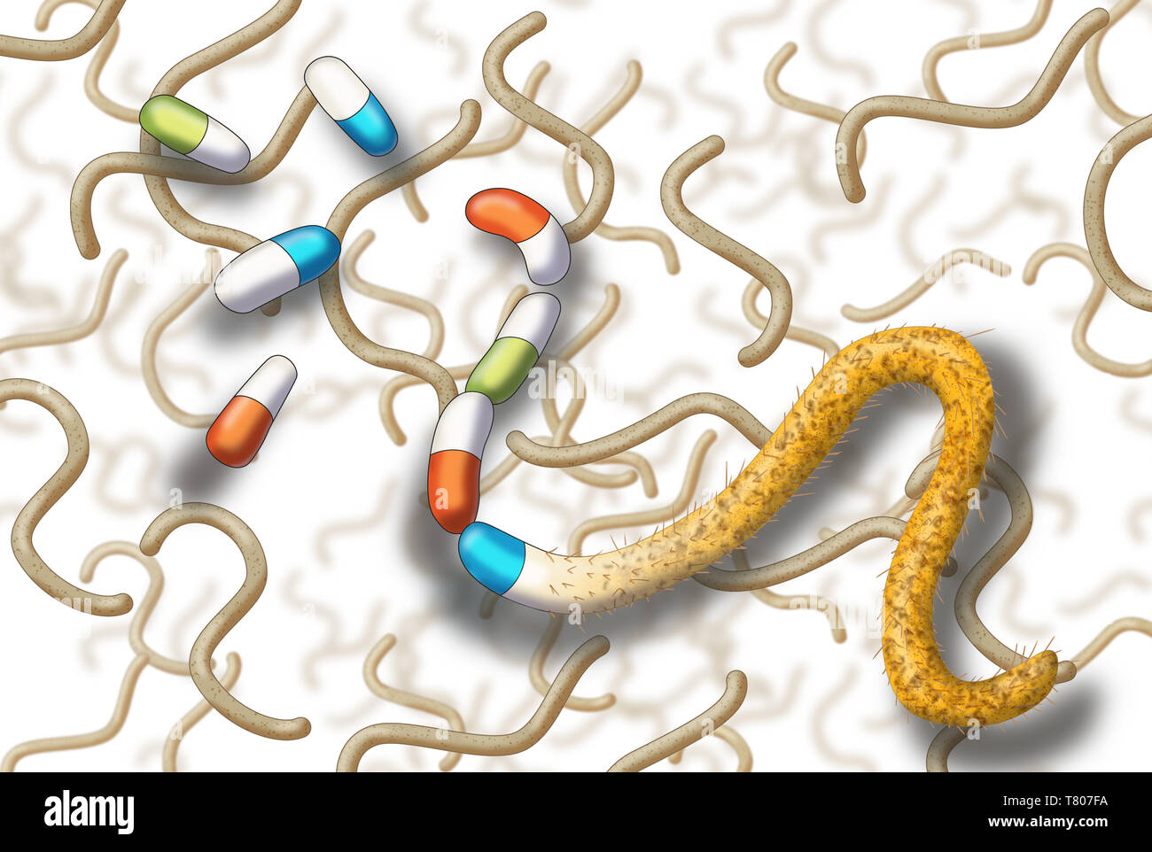 Les bactéries résistantes aux antibiotiques, illustration Banque D'Images