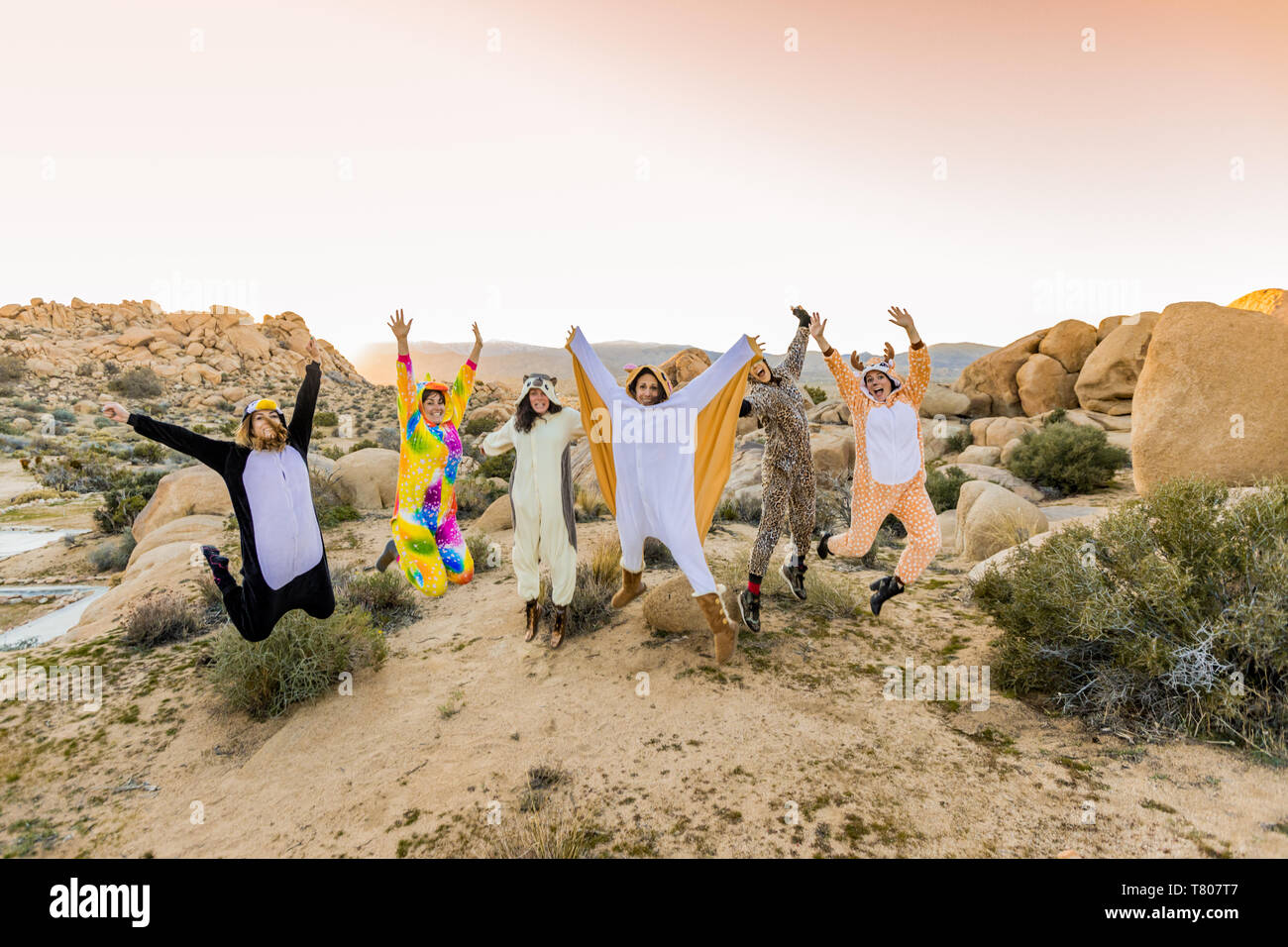 Groupe d'amis en esprit animal onesies célébrant la nouvelle année à Joshua Tree, Californie, États-Unis d'Amérique, Amérique du Nord Banque D'Images