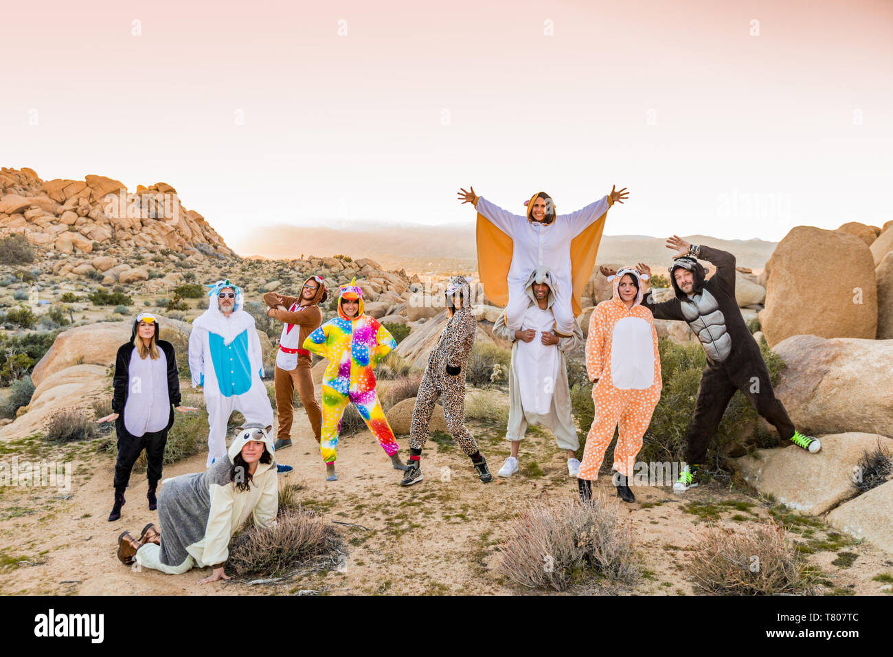 Groupe d'amis en esprit animal onesies célébrant la nouvelle année à Joshua Tree, Californie, États-Unis d'Amérique, Amérique du Nord Banque D'Images