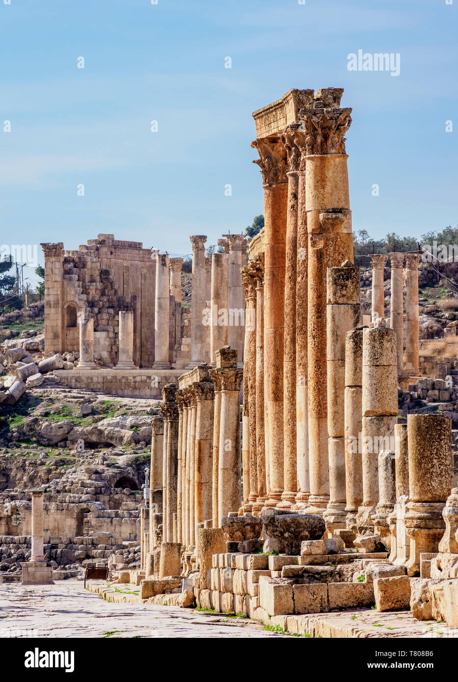 La rue à colonnade (cardo), Jerash, gouvernorat de Jerash, Jordanie, Moyen-Orient Banque D'Images