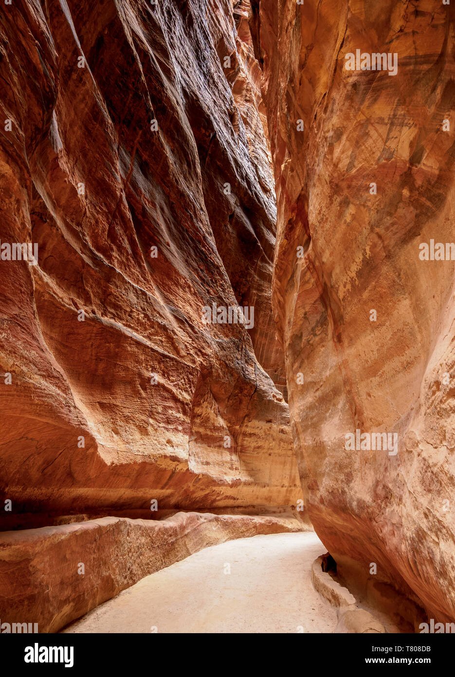 Le Siq, Petra, Site du patrimoine mondial de l'UNESCO, le Gouvernorat de Ma'an, Jordanie, Moyen-Orient Banque D'Images