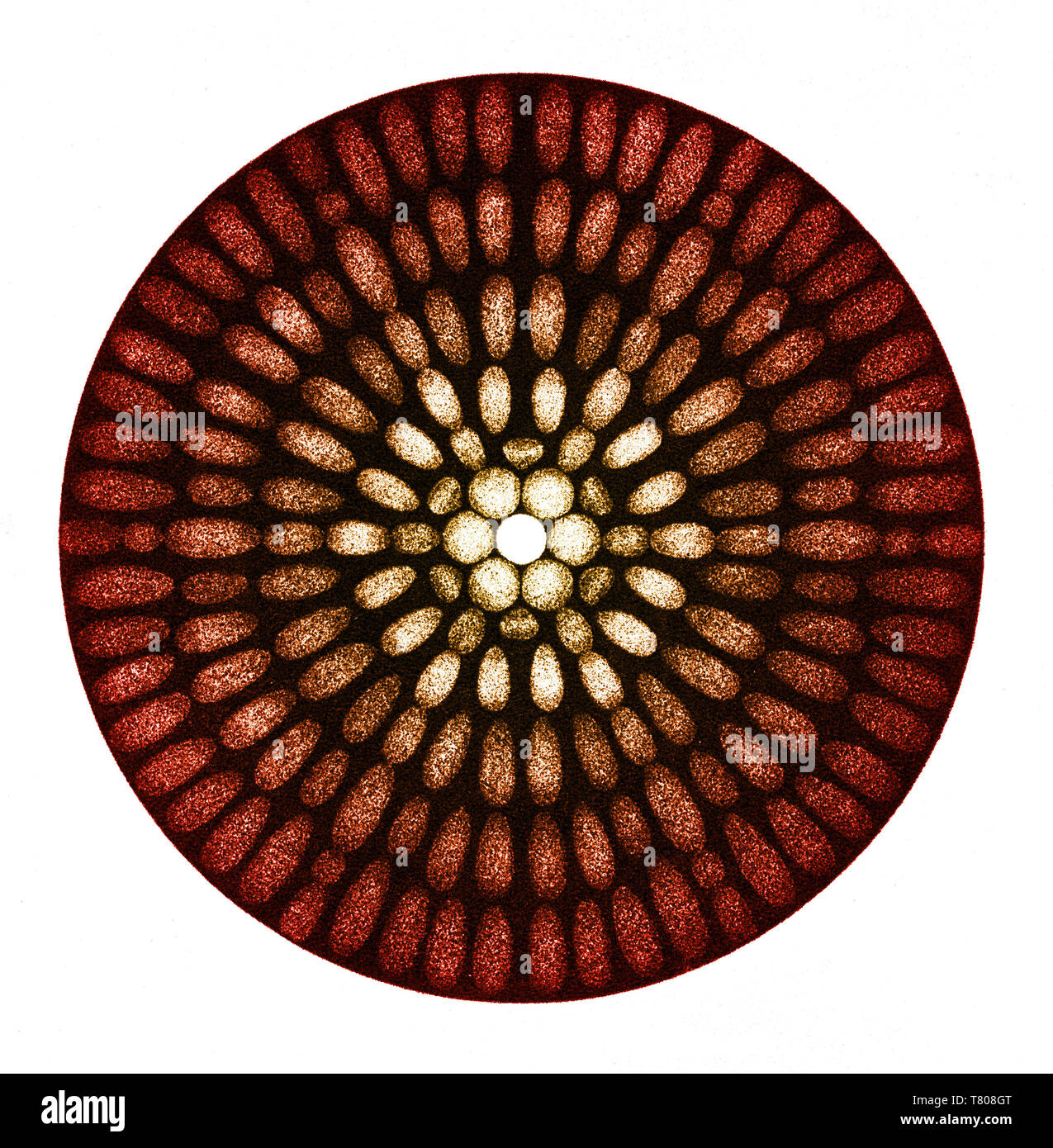 Diffraction de Fraunhofer Banque D'Images
