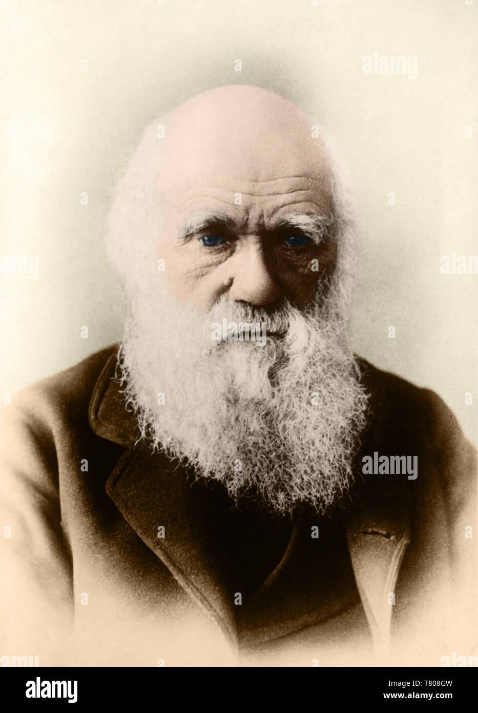 Charles Darwin, Naturaliste anglais Banque D'Images