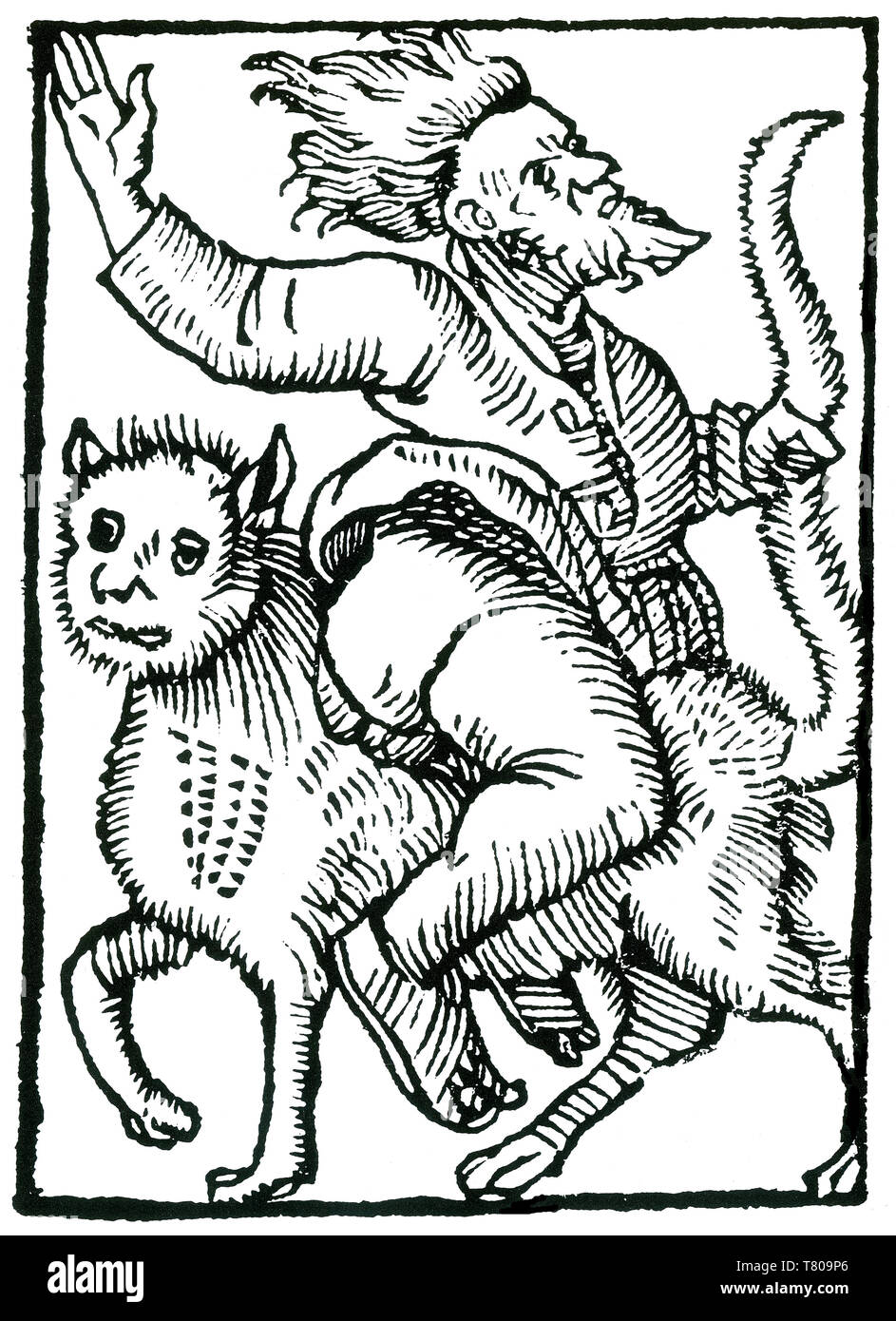 Witch rouler à reculons sur Chat, 1489 Banque D'Images