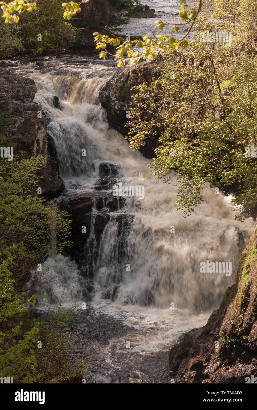 L'Reekie sur la rivière Cascade Linn Isla, Perthshire, en Écosse, en plein essor à travers les gorges escarpées. Banque D'Images