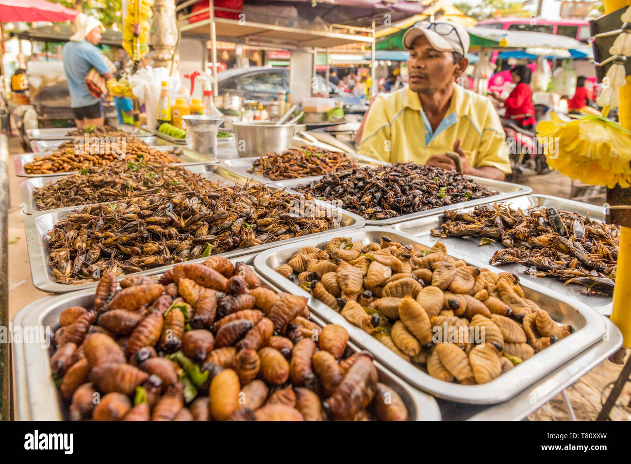 Un étal de vente de divers insectes dans le marché de nuit dans la région de Kamala à Phuket, Thaïlande, Asie du Sud, Asie Banque D'Images