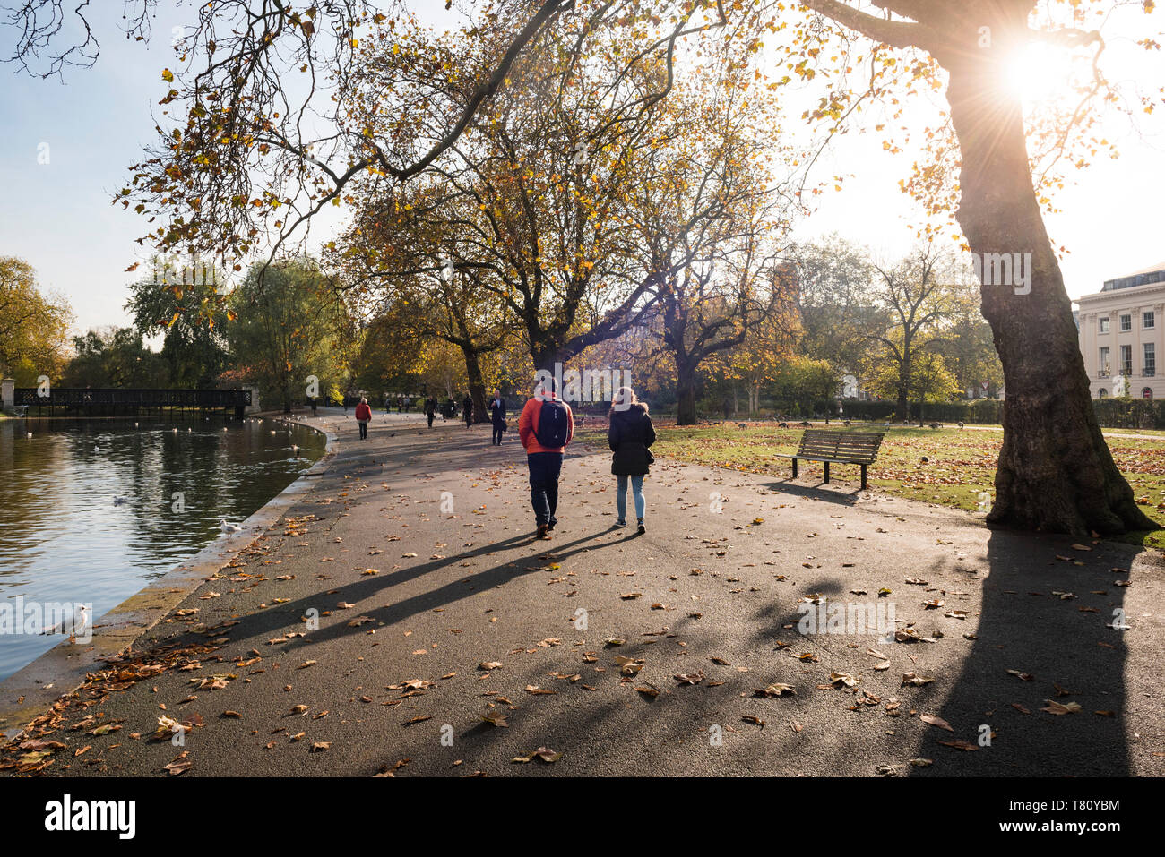 L'automne à Regents Park, l'un des parcs royaux de Londres, Angleterre, Royaume-Uni, Europe Banque D'Images