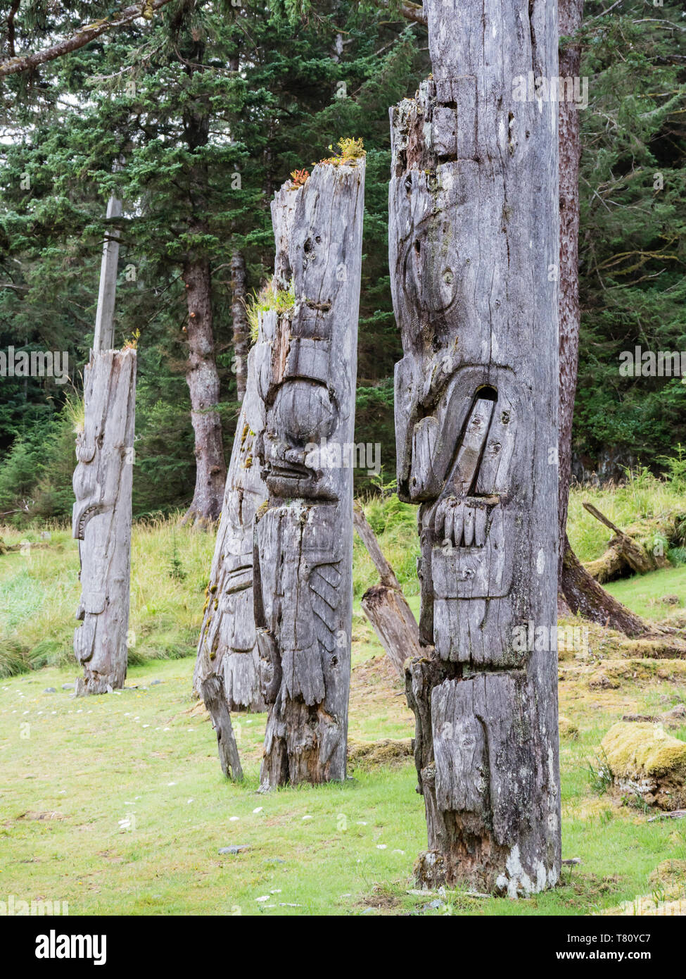 Les totems de l'île sgaang Gwaii, UNESCO World Heritage Site, Haida Gwaii, en Colombie-Britannique, au Canada, en Amérique du Nord Banque D'Images