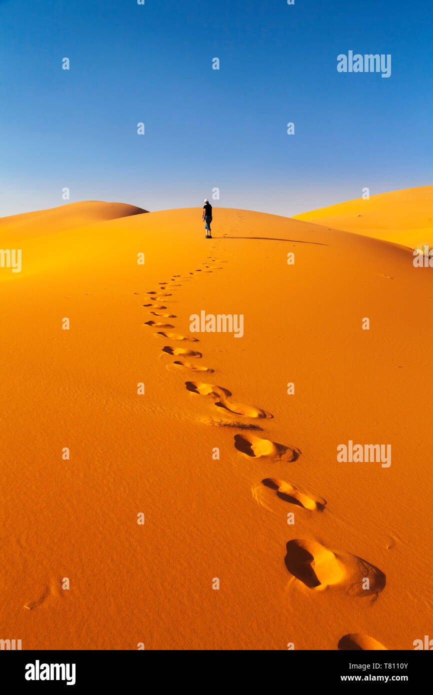 Dunes de sable, désert du Sahara, l'Erg Chebbi, dans le sud du Maroc, Maroc, Afrique Banque D'Images