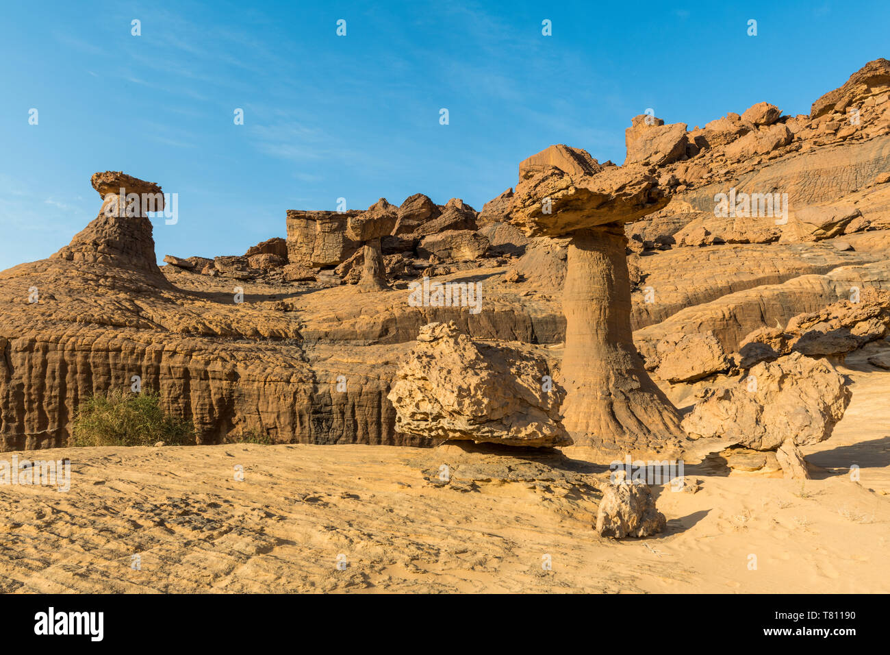 Les formations de roche de champignons, l'Ennedi Plateau, Site du patrimoine mondial de l'Ennedi, Tchad, Afrique, région Banque D'Images