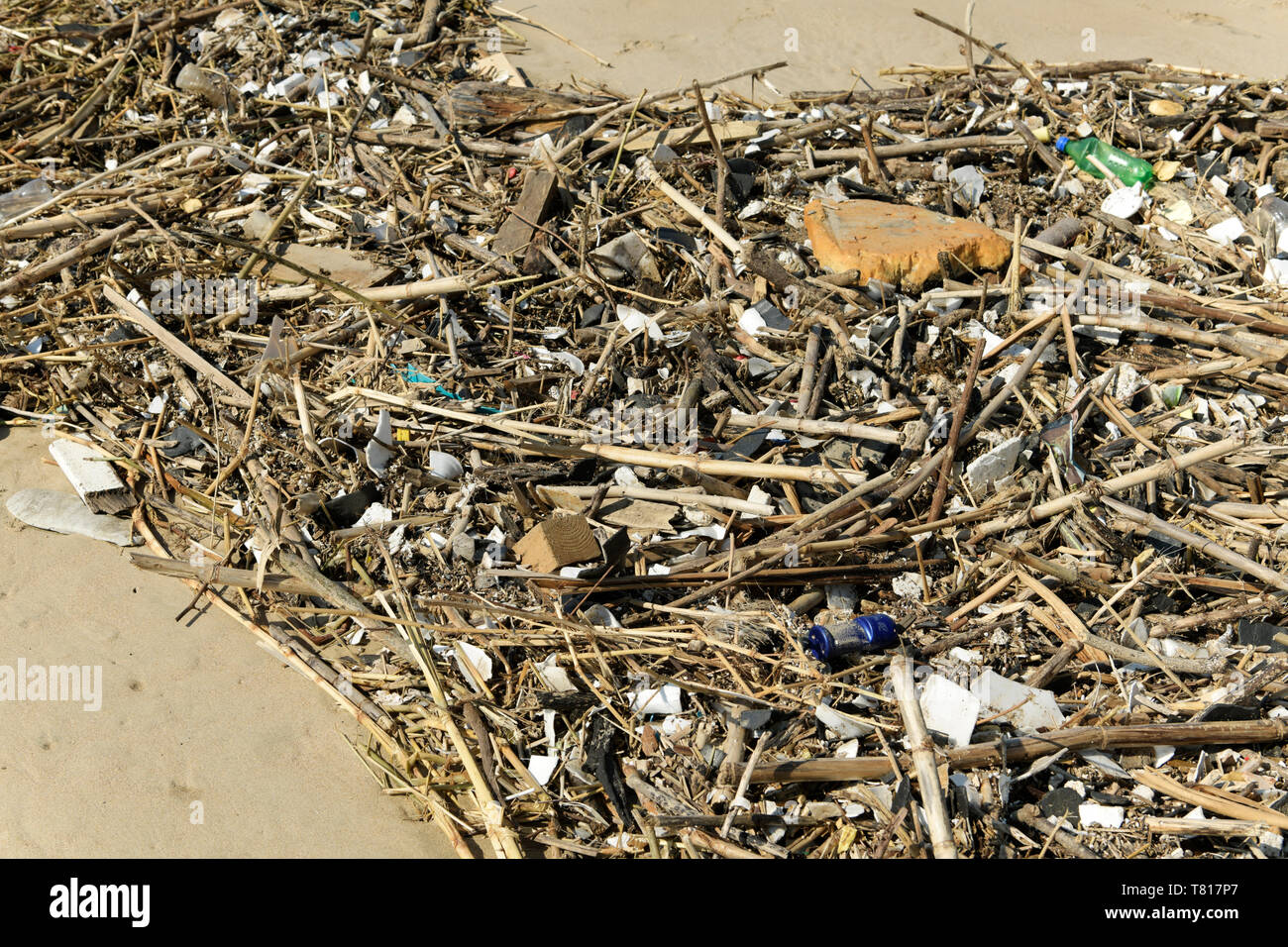 La pollution en plastique, collection de plantes avec des morceaux de polystyrène et d'emballage, Close up, détail, résumé, plage, Durban, Afrique du Sud Banque D'Images