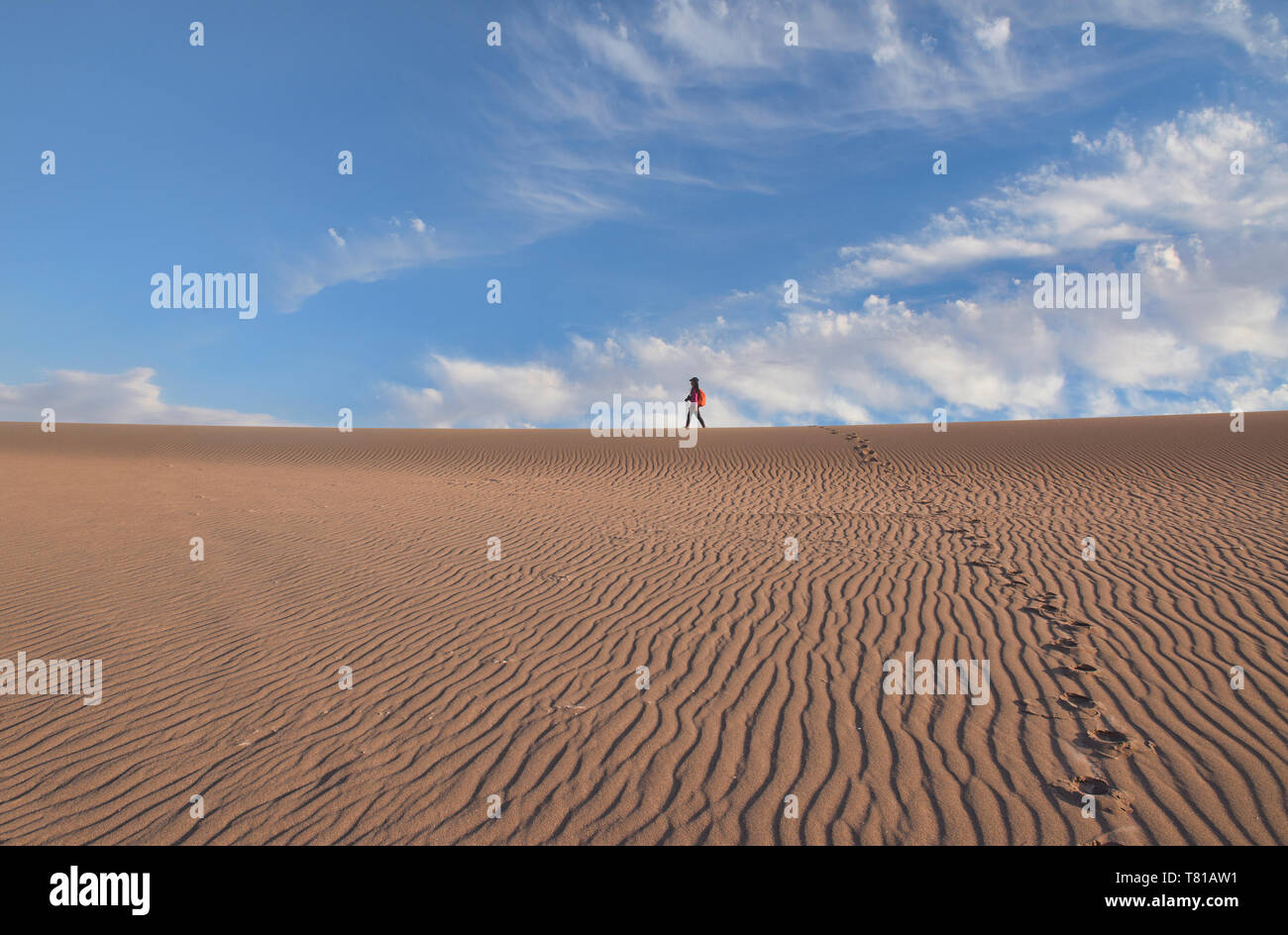 Paysage désertique de la vallée de la Lune, San Pedro de Atacama, Chili Banque D'Images