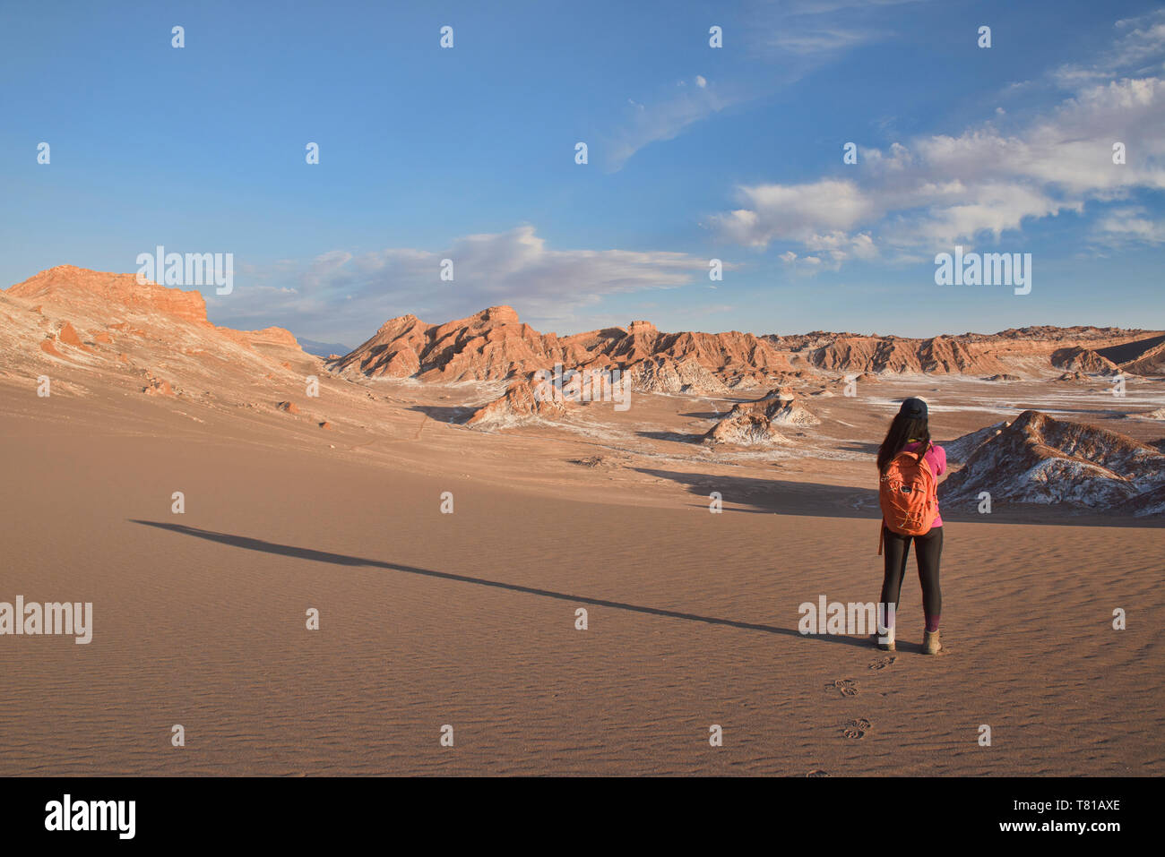 Le sel, le sable, et desertscape dans la vallée de la Lune, San Pedro de Atacama, Chili Banque D'Images