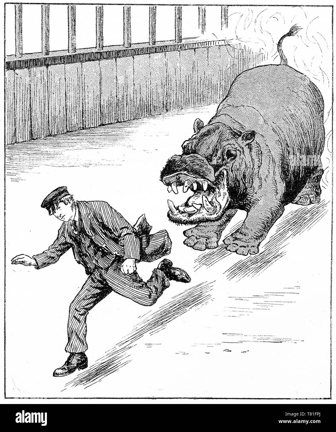 Gravure d'un gardien de zoo d'exécution d'un hippopotame. Chatterbox Magazine, 1917 Banque D'Images