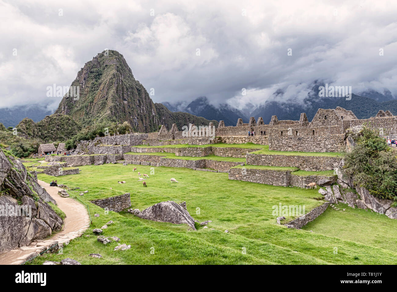 Les bâtiments et les habitations en structures Incas de Machu Picchu au Pérou. Wayna, Huayna Picchu pic de montagne à l'arrière-plan. Banque D'Images