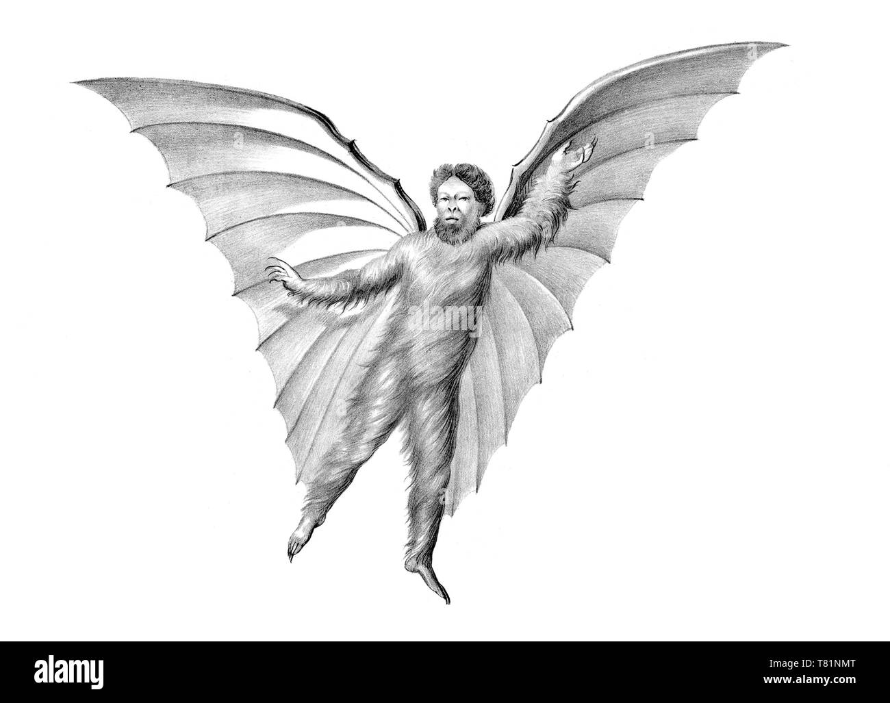 La grande lune canular, Vespertilio-homo Banque D'Images