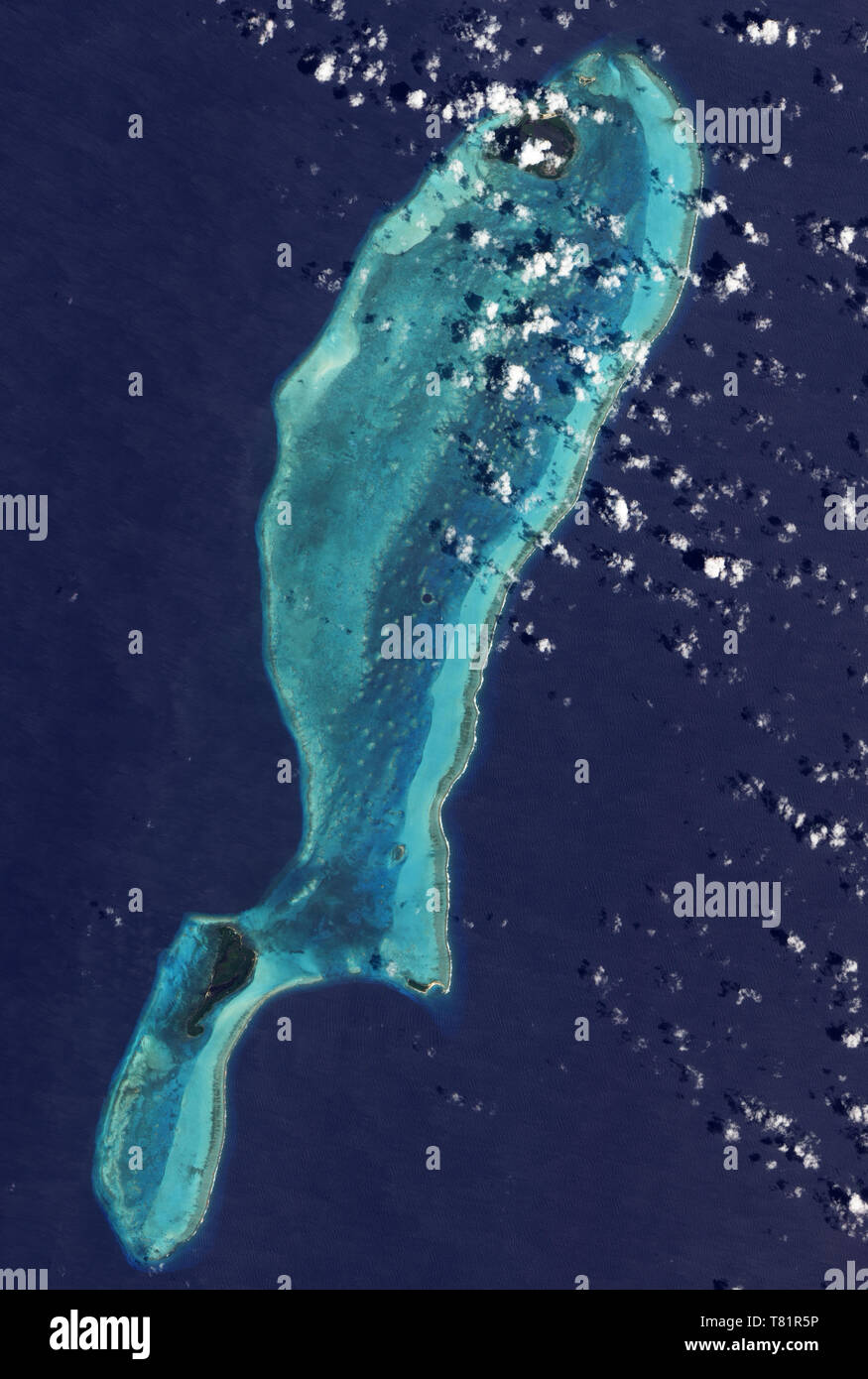 Lighthouse Reef Atoll, Grand Trou Bleu, ALI Droit Banque D'Images