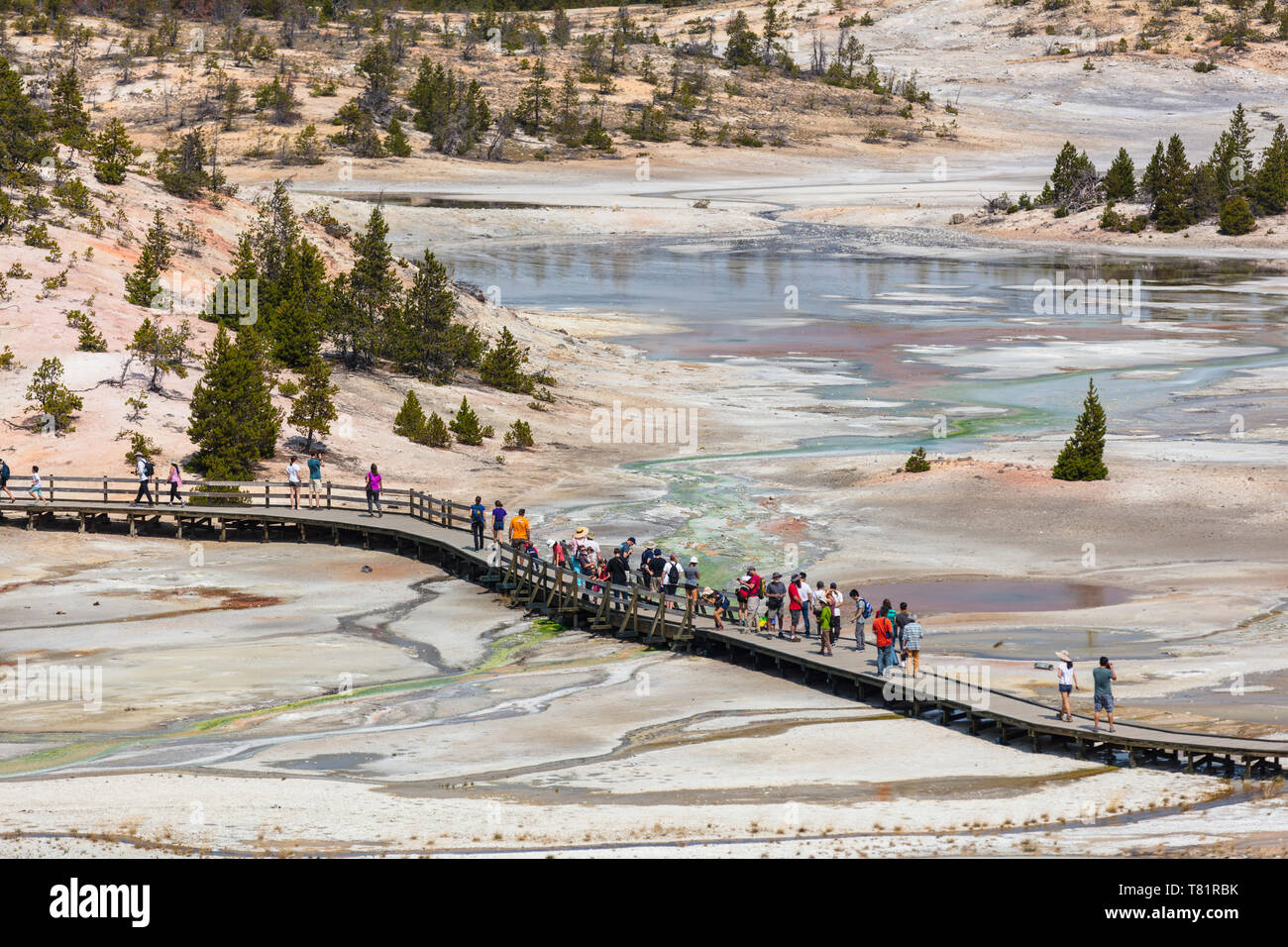 Norris Geyser Basin, Yellowstone Banque D'Images
