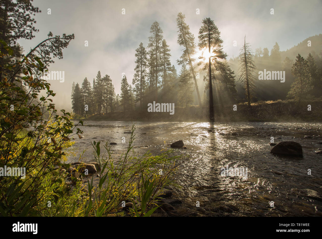 Matin sur la branche sud de la rivière de Boise Banque D'Images