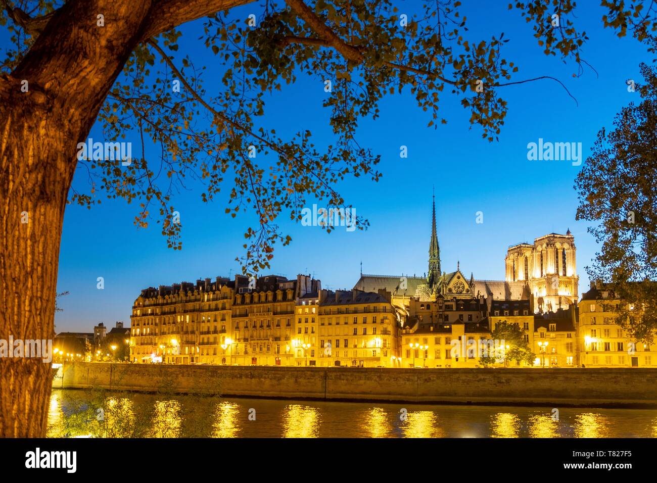 France, Paris, quais de Seine classés au Patrimoine Mondial par l'UNESCO, de l'île Saint Louis et la Cathédrale Notre-Dame Banque D'Images