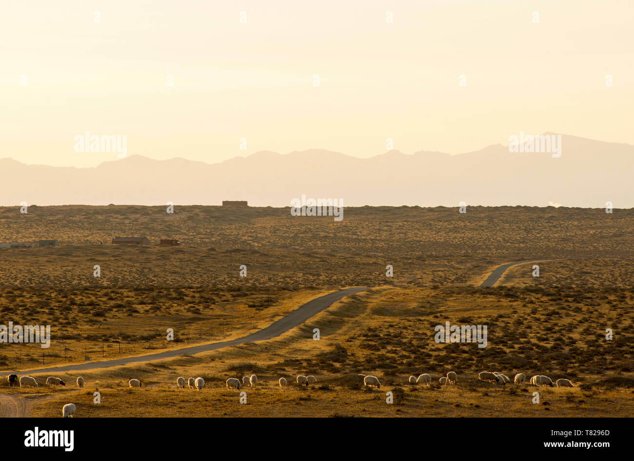 La route passe par l'alpage.en Mongolie intérieure, en Chine. Banque D'Images