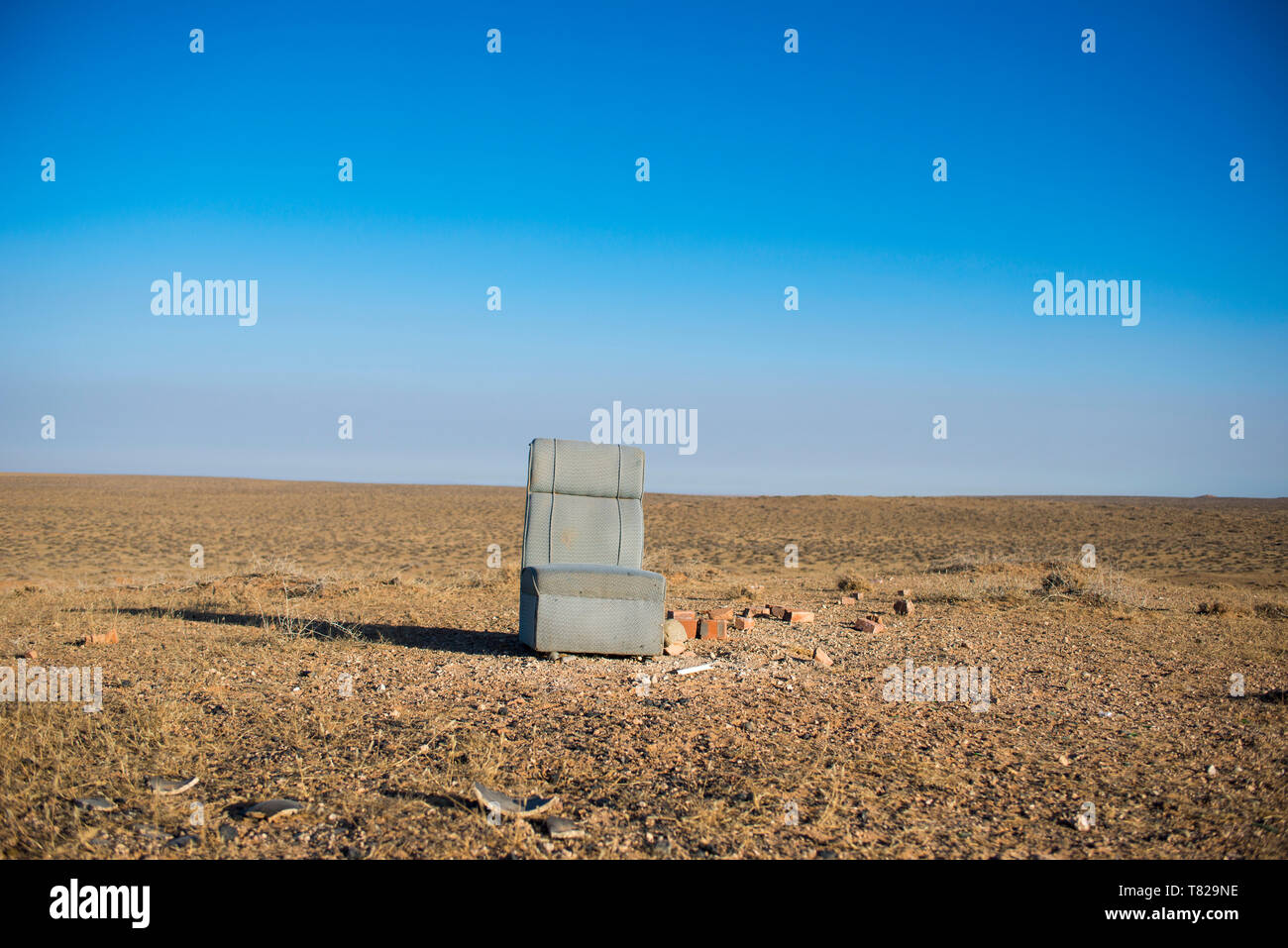 Canapé miteux dans le pré à l'hiver des pâturages. Banque D'Images