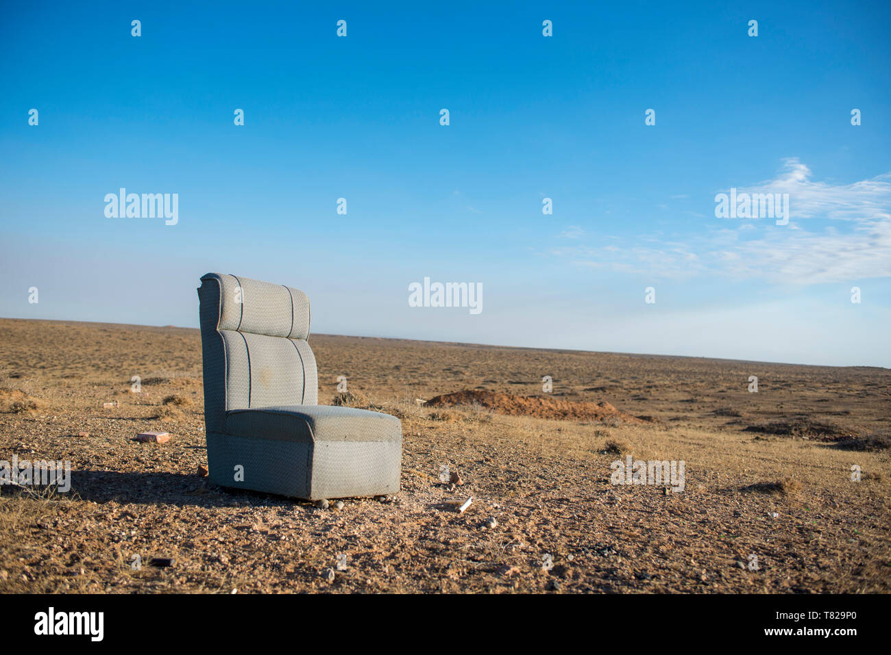 Canapé miteux dans le pré à l'hiver des pâturages. Banque D'Images