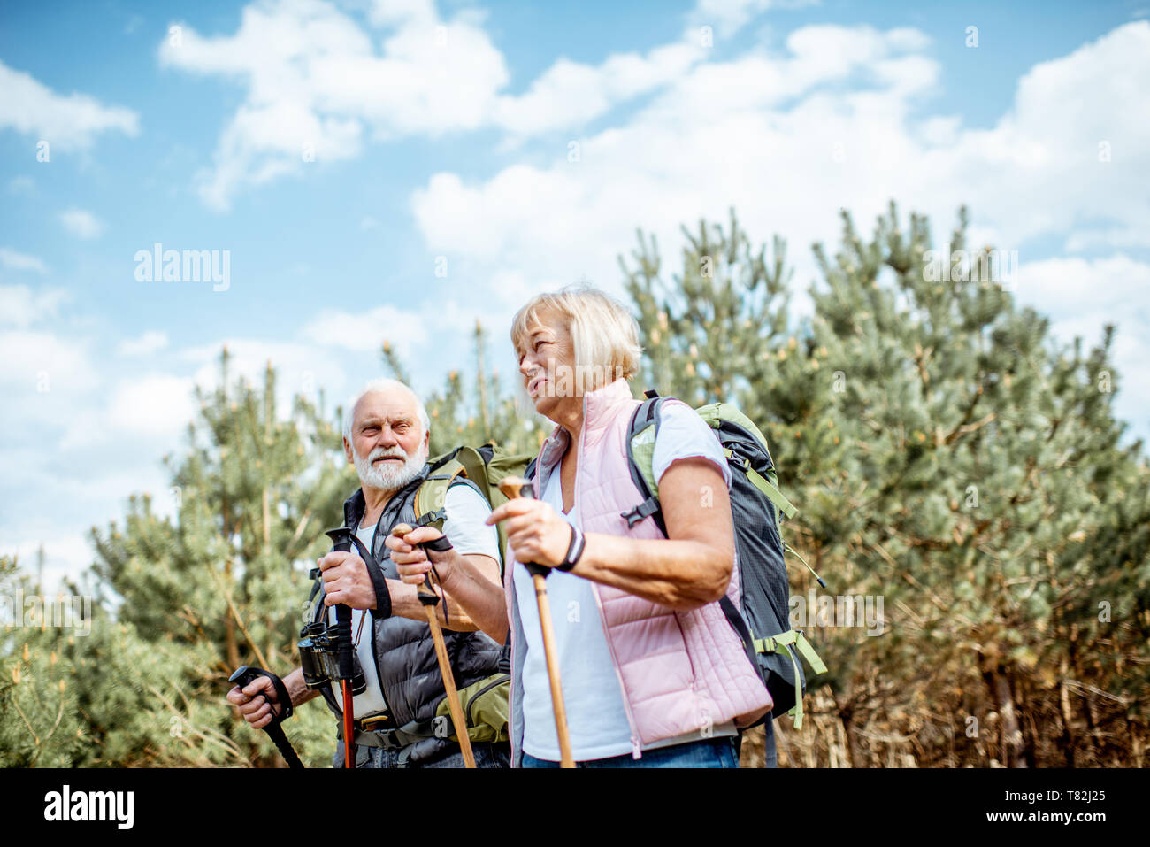 Happy senior couple trekking randonnée avec des bâtons et sacs à dos à la jeune forêt de pins. Profiter de la nature, passer un bon moment sur leur retraite Banque D'Images