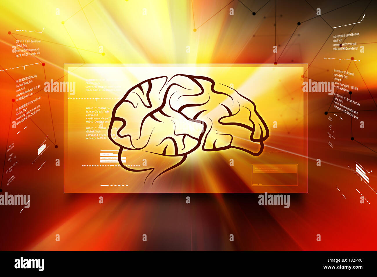 La structure du cerveau humain Banque D'Images